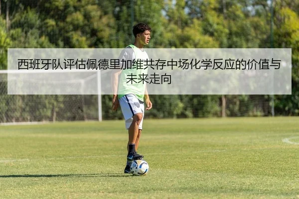 西班牙队评估佩德里加维共存中场化学反应的价值与未来走向